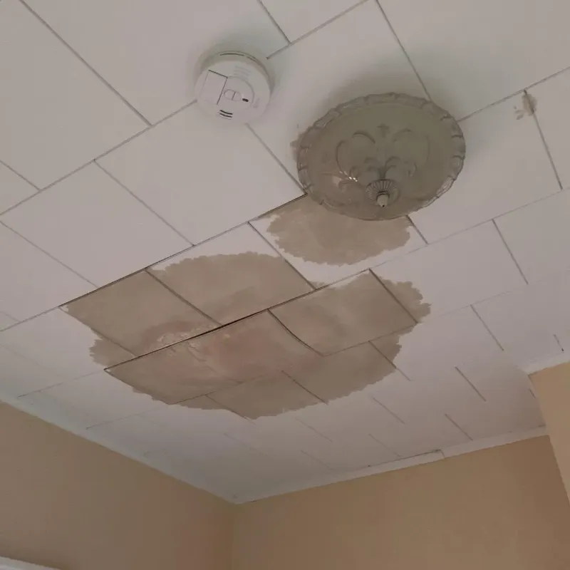 Ceiling Water Damage Repair in Wilson, PA