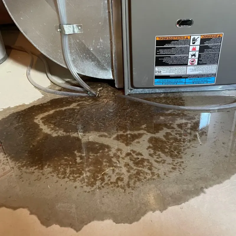 Pipe Burst and Leak Restoration in Wilson, PA