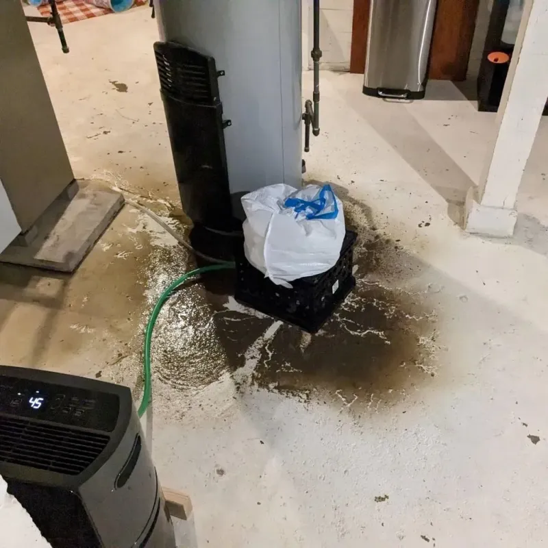 Sewage Backup Cleanup Service in Wilson, PA